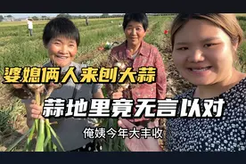 婆媳俩人来刨蒜，丰收的喜悦小姨真开心，看到铲蒜工具竟无言以对视频封面