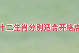 每个人都有不同的创业天赋，那么十二生肖，分别适合开啥店创业视频封面