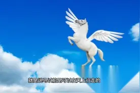 十二生肖之马      马和兔在一起会幸福吗？视频封面