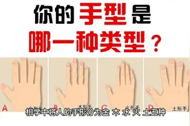金木水火土，五种手形和适合职业视频封面