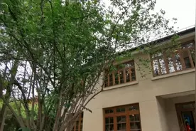 复旦大学玖园爱国主义教育建筑群今揭幕视频封面