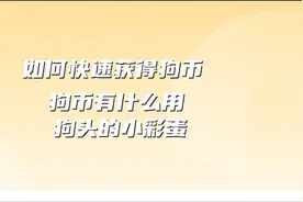 如何快速获得狗币，狗币有什么用，彩蛋有哪些，狗头的问题回答视频封面