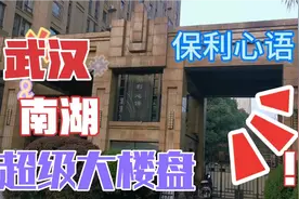 武汉武昌洪山第一大配套社区在哪里？地铁、公园、学校。。啥都有视频封面