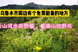 乌鲁木齐周边有个免费避暑的地方，天山河水旁野餐，看漫山的野花视频封面