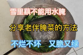 雪里蕻不能用水腌，分享老伴腌菜的方法，不烂不坏，又脆又绿视频封面