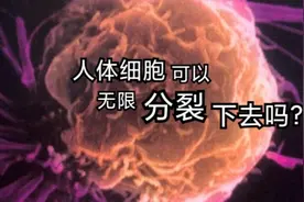 人体细胞可以无限地分裂下去吗？【高中生物讲解】1.6.3视频封面