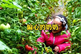 小女孩就吃了奶奶一个西红柿，却被奶奶打了一顿，脸都肿了视频封面