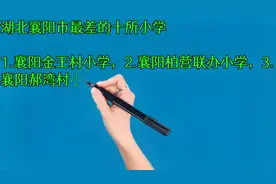 湖北襄阳市最差的十所小学视频封面