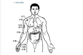 十二经络穴位全图解析，全面实用的穴位按摩以及位置汇总，精华。视频封面