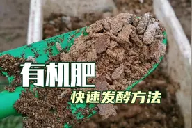 1斤油枯3斤水，15天发酵成上好有机肥，种菜养花，花开满园