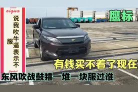 鹰标丰田你见过吗 20万以内SUV品牌的噩梦 狠不狠自己看相当哇塞视频封面