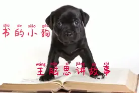 睡前故事 | 爱书的小狗视频封面