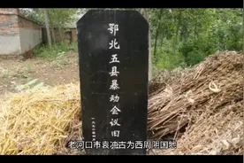襄阳籍人物    袁氏四姐妹（上）视频封面