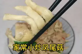 凤尾菇加鸡蛋的新做法太棒了，鲜香下饭，营养丰富，一下就光盘了