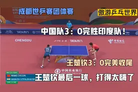 中国队3：0完胜印度队！王楚钦3：0完美收尾，最后一球打得太嗨了视频封面