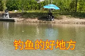 上海郊区这条野河，是钓鱼的好地方，钓友都喜欢来这边视频封面