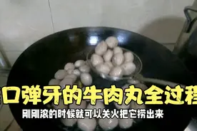 爽口弹牙的牛肉丸做法，在家自己做，配方比例及细节全过程分享视频封面