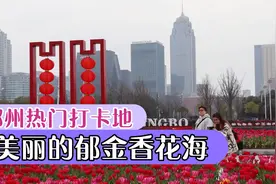 宁波这里有一片郁金香花海，地铁3号线和5号线直达，快来打卡吧视频封面