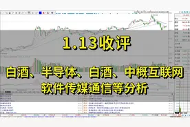 白酒、半导体、中概互联网、医药医疗、软件传媒通信等板块分析