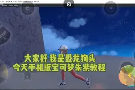 手机版宝可梦珠子教程(不是安装教程 )