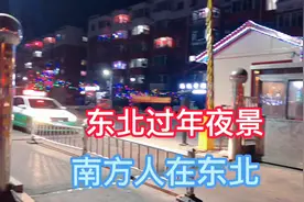 南方人在辽宁阜新过年，家家户户挂彩灯，街上的夜景太美了视频封面