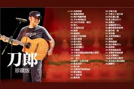 刀郎音乐专辑 45首金曲精选视频封面