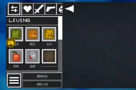 甜瓜游乐场最新bug