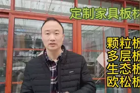 定制家具常见的四种板材：颗粒板、多层板、生态板、欧松板!视频封面