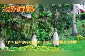 专家许石林歪论： 强烈建议恢复民跪官大礼，以促进社会和谐视频封面