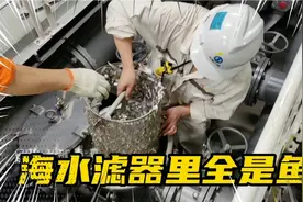 航行途中遭遇鱼群，海水滤器全部被鱼堵住，足足有半筐鱼视频封面