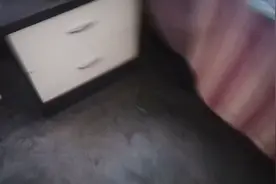 等下次我就是喂狗了视频封面