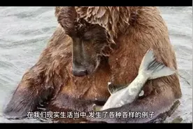 西安女子发表“不当言论”，自称“不是平民”，家庭背景随之曝光视频封面
