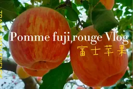 Ma pomme fuji rouge      我家的红富士苹果视频封面