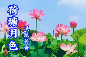 2010年华语乐坛冠军歌曲，凤凰传奇《荷塘月色》视频封面