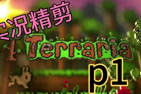 泰拉瑞亚_专家难度p1，找仙人掌，挖矿造装备(精剪版)视频封面