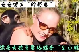 奇奇国王“终娶妻”？漂亮女孩给猴子“生小猴子”视频封面