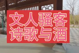 文人骚客，诗歌与酒！视频封面