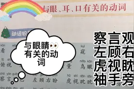 动词积累：看与眼睛👀有关的动词，察言观色，面面相觑，虎视眈视频封面