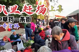 凯里赶场，中草药一条街，几百米的街道都是药材品种上万，上集视频封面