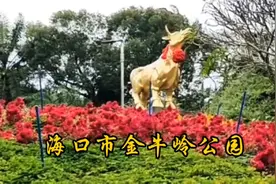 海口市具有九园一湖一场的大型园林景区，金牛岭公园。视频封面