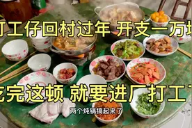 湖南打工仔回村过年，消费一万多块，吃完这顿饭，就要进厂打工了视频封面