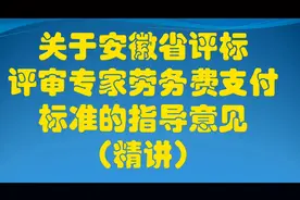安徽省评标评审专家劳务费支付标准（精讲）视频封面