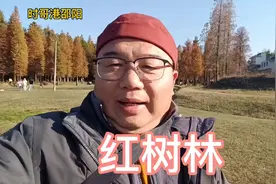 邵阳市大祥区的红树林，算不上风景区的风景区，郊游好去处视频封面