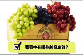 葡萄中有哪些神奇功效？