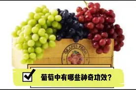 葡萄中有哪些神奇功效？视频封面