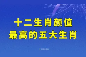 十二生肖中，颜值最高的五大生肖视频封面