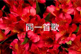 同一首歌视频封面