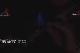 罗大佑《爱的箴言》你的天空的城又在哪里？视频封面