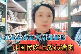 牧原集团，打造全球养殖规模最大的养猪场，让国人吃上放心猪肉。视频封面