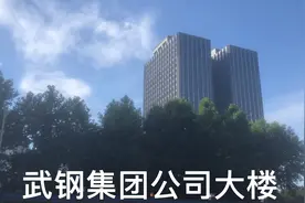 武钢集团公司总部（友谊大道中景）视频封面